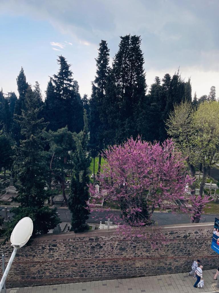 Aymira Suite Hotel イスタンブール 部屋 写真